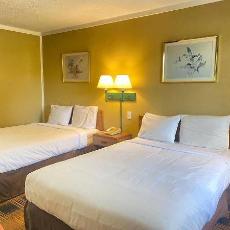 קודאק Smokies Inn - New Linens & Ultrafast Wifi - Friendliest Hospitality Guaranteed! מראה חיצוני תמונה