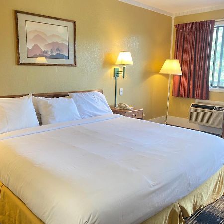 קודאק Smokies Inn - New Linens & Ultrafast Wifi - Friendliest Hospitality Guaranteed! מראה חיצוני תמונה